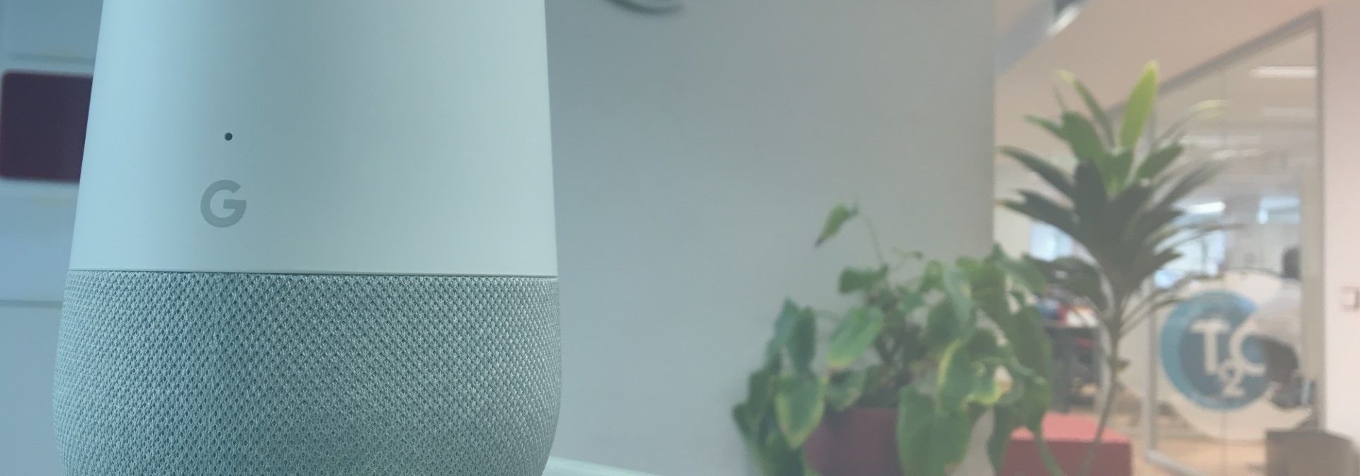 Google Home T2O media